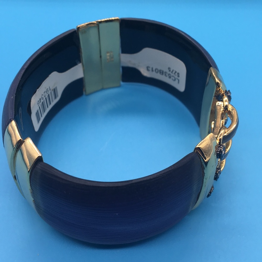 Lucite Corset Hinged Bands Bracelet